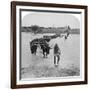 Fording the Modder River, Boer War, South Africa, 15th February 1901-Underwood & Underwood-Framed Giclee Print
