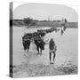 Fording the Modder River, Boer War, South Africa, 15th February 1901-Underwood & Underwood-Stretched Canvas