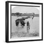 Fording the Modder River, Boer War, South Africa, 15th February 1901-Underwood & Underwood-Framed Giclee Print