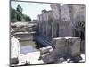 Fordongianus Roman Baths, Sardinia, Italy-Sheila Terry-Mounted Photographic Print