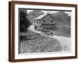 Brown Frame