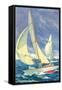 Foredeck Man in Sailing Race, San Diego, California-null-Framed Stretched Canvas