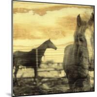 Foreground/Background-Casey Mckee-Mounted Art Print