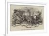 Foreign Animals Imported for the Earl of Derby-null-Framed Giclee Print