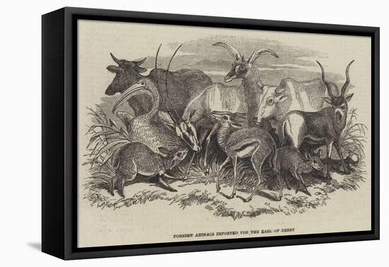 Foreign Animals Imported for the Earl of Derby-null-Framed Stretched Canvas