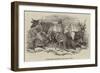 Foreign Animals Imported for the Earl of Derby-null-Framed Premium Giclee Print