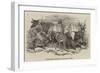 Foreign Animals Imported for the Earl of Derby-null-Framed Giclee Print