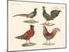 Foreign Birds-null-Mounted Giclee Print