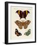 Foreign Butterflies-null-Framed Giclee Print