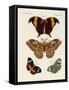 Foreign Butterflies-null-Framed Stretched Canvas