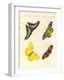 Foreign Butterflies-null-Framed Giclee Print