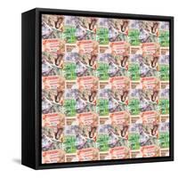 Foreign Money Background-NathanNathan-Framed Stretched Canvas