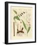 Foreign Spices-null-Framed Giclee Print