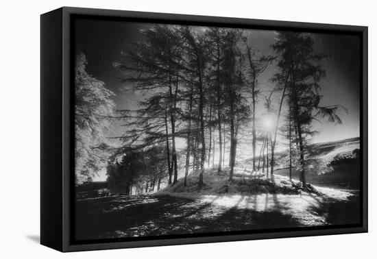 Forelacka Burial Ground, County Offaly, Ireland-Simon Marsden-Framed Stretched Canvas