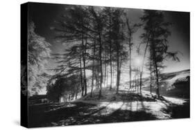 Forelacka Burial Ground, County Offaly, Ireland-Simon Marsden-Stretched Canvas