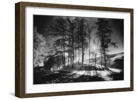 Forelacka Burial Ground, County Offaly, Ireland-Simon Marsden-Framed Giclee Print