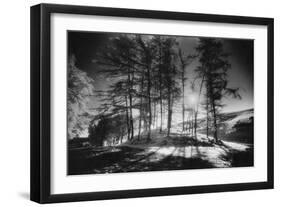 Forelacka Burial Ground, County Offaly, Ireland-Simon Marsden-Framed Giclee Print