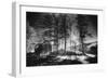 Forelacka Burial Ground, County Offaly, Ireland-Simon Marsden-Framed Giclee Print