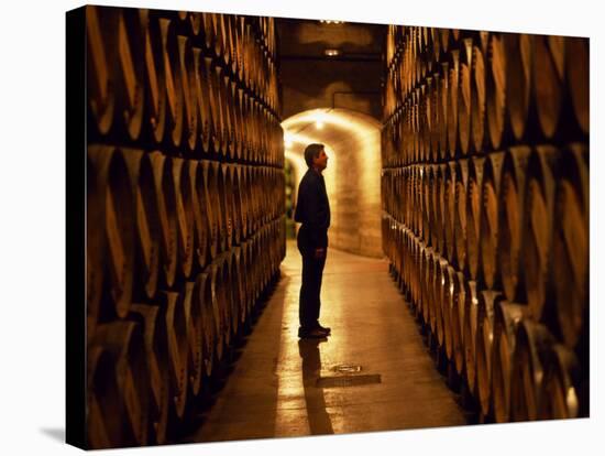 Foreman of Works Inspects Barrels of Rioja Wine in the Underground Cellars at Muga Winery-John Warburton-lee-Stretched Canvas