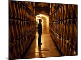 Foreman of Works Inspects Barrels of Rioja Wine in the Underground Cellars at Muga Winery-John Warburton-lee-Mounted Photographic Print