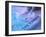 Forensic Evidence-Tek Image-Framed Photographic Print