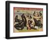 Forepaugh and Sella Brothers, Poster, 1900-null-Framed Premium Giclee Print