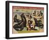 Forepaugh and Sella Brothers, Poster, 1900-null-Framed Giclee Print