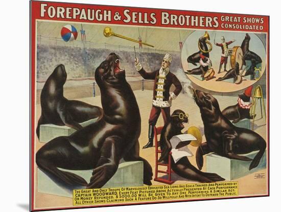 Forepaugh and Sella Brothers, Poster, 1900-null-Mounted Giclee Print