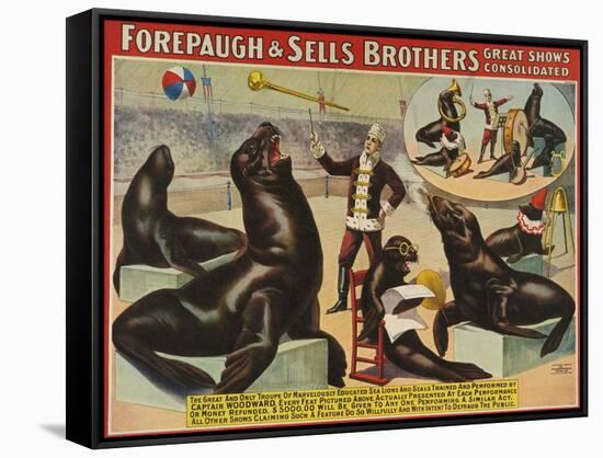 Forepaugh and Sella Brothers, Poster, 1900-null-Framed Stretched Canvas