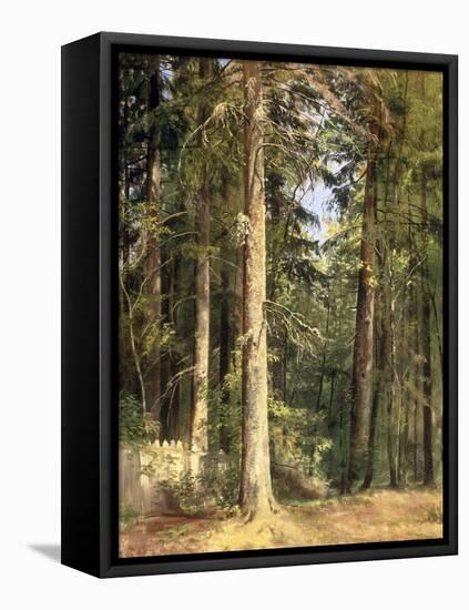 Forest, 1892-Ivan Ivanovitch Shishkin-Framed Stretched Canvas