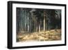 Forest, 1898-Ivan Ivanovitch Shishkin-Framed Giclee Print