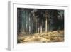 Forest, 1898-Ivan Ivanovitch Shishkin-Framed Giclee Print