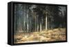 Forest, 1898-Ivan Ivanovitch Shishkin-Framed Stretched Canvas