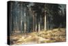 Forest, 1898-Ivan Ivanovitch Shishkin-Stretched Canvas