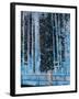 Forest-4 Hours of Daylight-Graham Dean-Framed Giclee Print