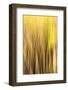 Forest Abstract, California, Usa-Russ Bishop-Framed Photographic Print