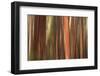 Forest abstract, Yosemite Valley, Yosemite National Park, California, USA-Russ Bishop-Framed Photographic Print