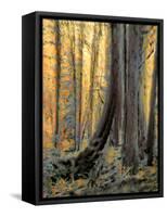 Forest Aglow-Janet Slater-Framed Stretched Canvas