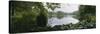 Forest along a River, Sjolangs, Sweden-null-Stretched Canvas