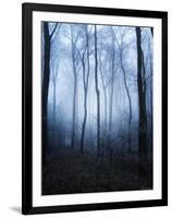 Forest and Brush in Dense Fog-Tommy Martin-Framed Photographic Print