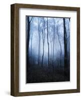 Forest and Brush in Dense Fog-Tommy Martin-Framed Photographic Print