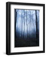 Forest and Brush in Dense Fog-Tommy Martin-Framed Photographic Print