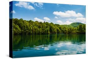 Forest and Clouds with Reflection in A Calm Lake-Lamarinx-Stretched Canvas