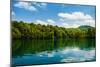 Forest and Clouds with Reflection in A Calm Lake-Lamarinx-Mounted Photographic Print