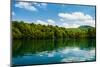 Forest and Clouds with Reflection in A Calm Lake-Lamarinx-Mounted Photographic Print