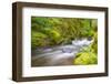 Forest And Creek 1-Janet Slater-Framed Photographic Print