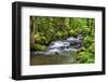 Forest And Creek 2-Janet Slater-Framed Photographic Print