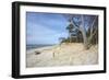 Forest and Dunes on the Western Beach of Darss Peninsula-Uwe Steffens-Framed Photographic Print