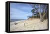 Forest and Dunes on the Western Beach of Darss Peninsula-Uwe Steffens-Framed Stretched Canvas