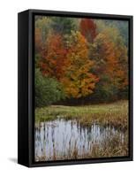 Forest and Pond in Autumn, North Landgrove, Vermont, USA-Scott T^ Smith-Framed Stretched Canvas